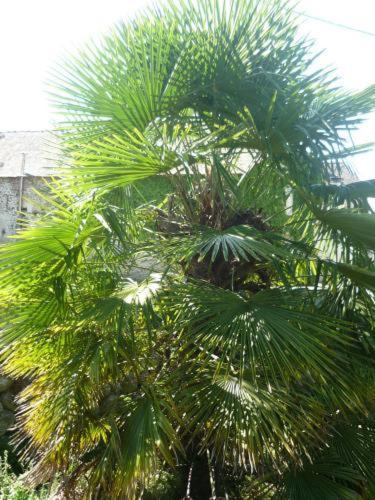 Le Miramont Bed and Breakfast Orincles Buitenkant foto